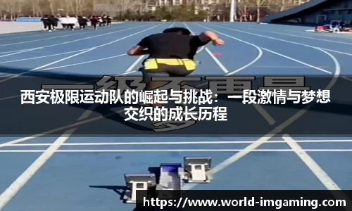 IM电竞官方网站